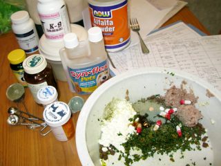 Canine Cancer Diet Supplements