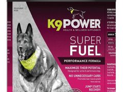 Building muscle strength in three legged dogs K9 Power