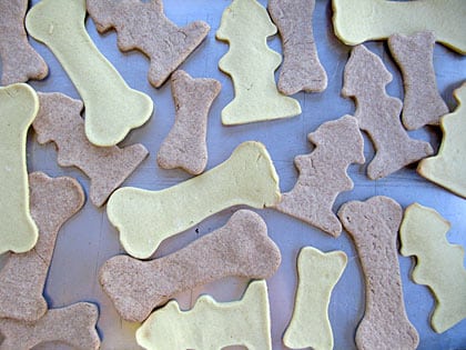 Healthy Homemade Dog Treat Cookies