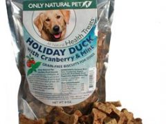 Healthy Hoppy Gift Ideas for Dogs 999334_300