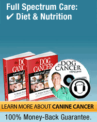 dog-cancer-kit_200x250an