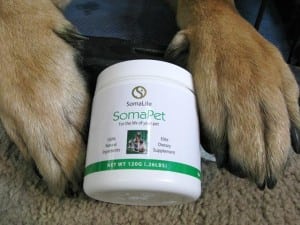 SomaPet Natural Dog Dietary Supplement