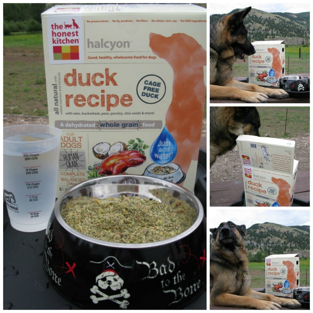 Honest Kitchen duck recipe introduces novel protein dog food