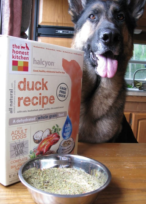 Honest Kitchen Halcyon dehydrated dog food duck recipe
