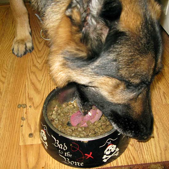 The Honest Kitchen Dog Food Gravy