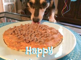 Jasper's Easy, Healthy Dog Cake Recipe