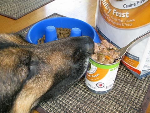 Only Natural Pet grain-free PowerStew Canned Dog Food