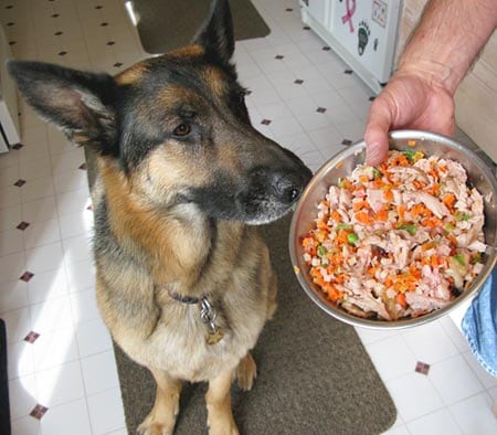 Dr Harvey's Veg-to-Bowl