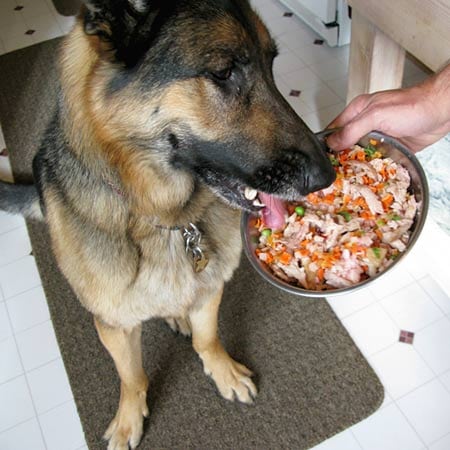 Dr Harvey's Veg-to-Bowl