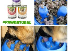 Only Natural Pet’s New Grain-Free Canned Dog Food is #PawNatural Goodness PawNaturalCanned