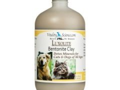 Natural Ways to Get Fast Cat and Dog Diarrhea Help dog cat diarrhea help