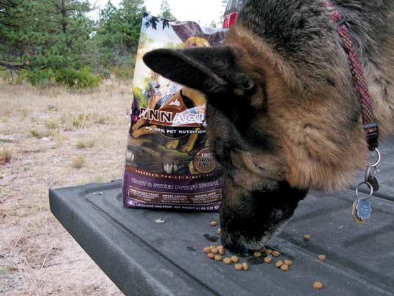 Wyatt enjoys Pinnacle while camping