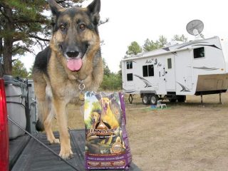 Wyatt enjoys Pinnacle while camping