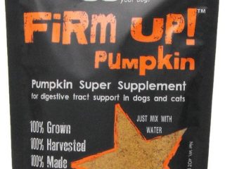 dehydrated pumpkin cats dogs