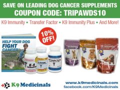 Three Ways to Help Your Dog Fight Cancer K9Medicinals.com K9 Immunity Coupon