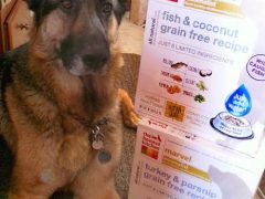 New Limited Ingredient Diets from The Honest Kitchen the honest kitchen dehydrated dog food mix