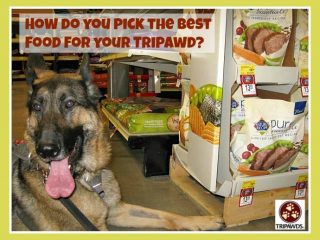 best tripawd nutrition