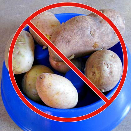 No Potatoes in Dog Food