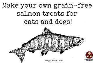 grain free, salmon, treats, recipe, dogs, cats