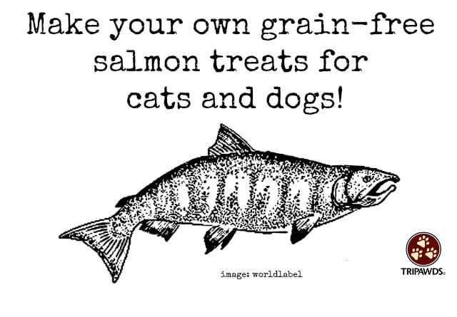 grain free, salmon, treats, recipe, dogs, cats