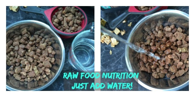 raw food nutrition for dogs