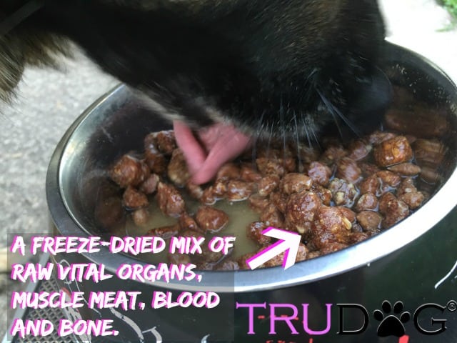 trudog food