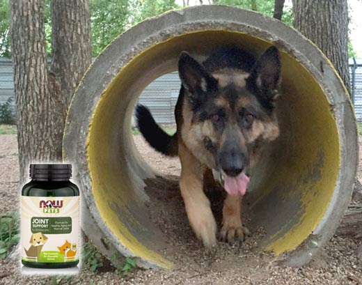 NOW Pets supplements