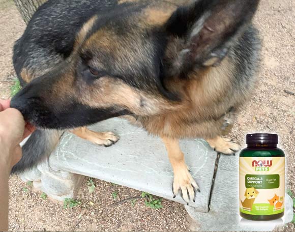 NOW Pets supplements