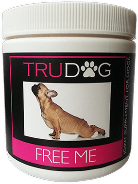 dog joint supplement