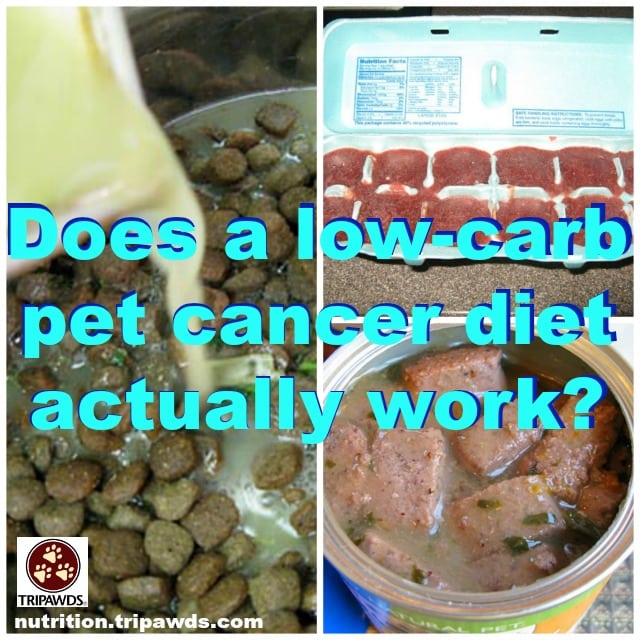 low carb pet cancer diet