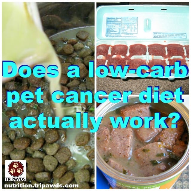 low carb dog food cancer