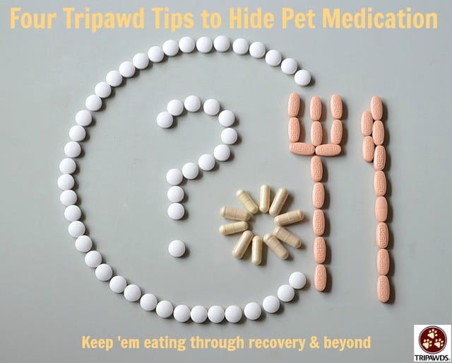 Tripawd, dog, cat, hide, pet, medication, pills, surgery, recovery, appetite