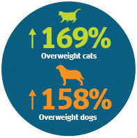 obese pets tips