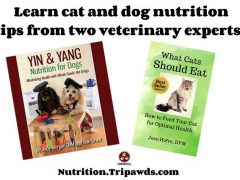 DIY Cat and Dog Natural Nutrition Tips are Vet-Approved! Cat Dog Nutrition Tips