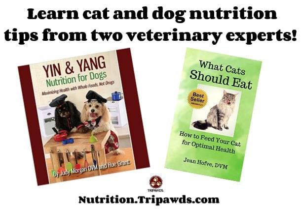 Cat Dog Nutrition Tips