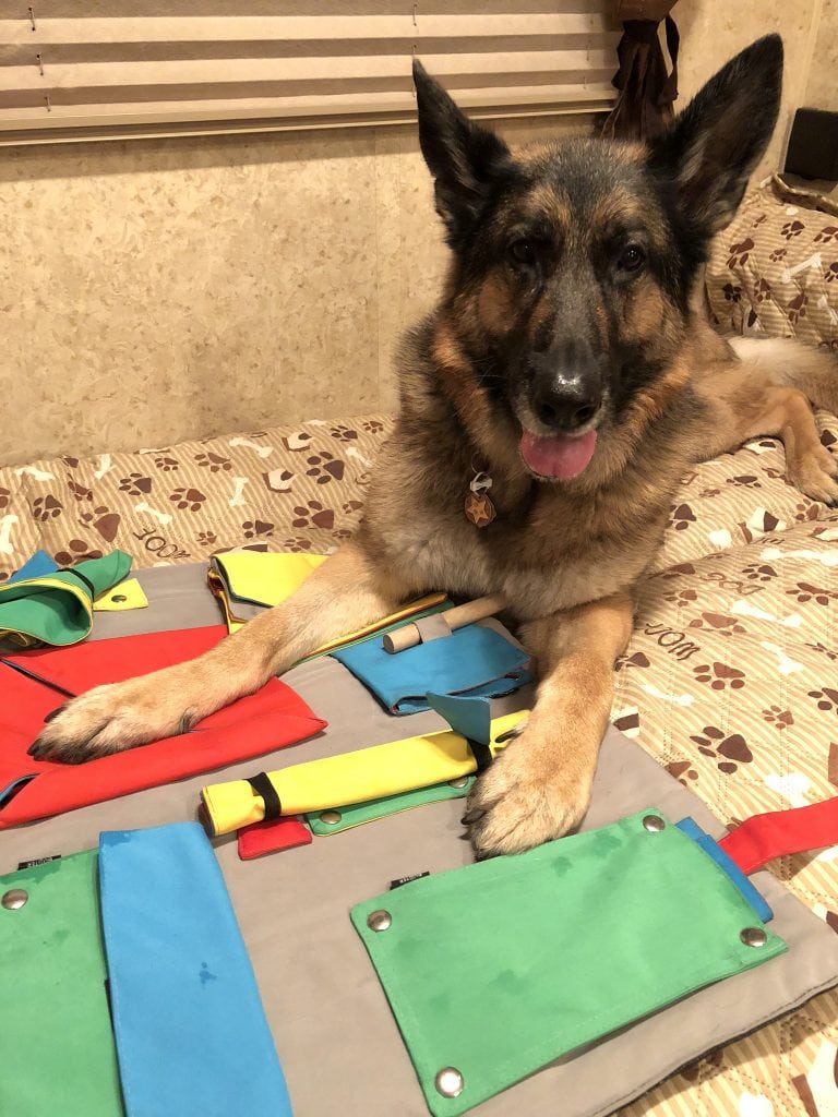 Tripawd Food Puzzle