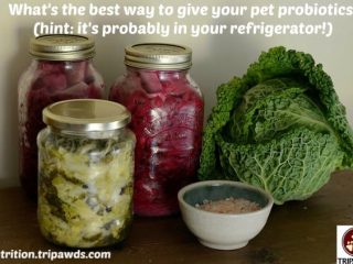 pet food prebiotics probiotics