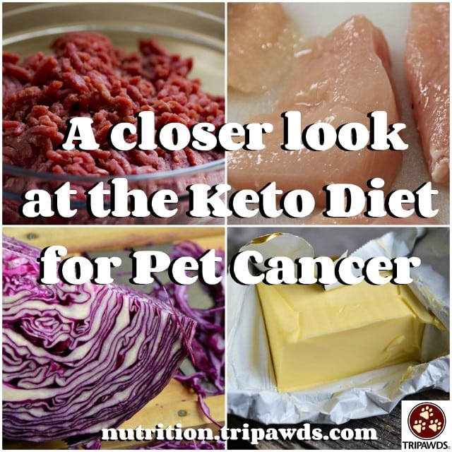 keto diet for pet cancer