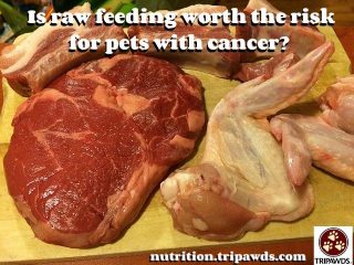 raw food for dogs and cats with cancer