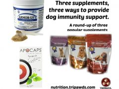 Dog Immunity Support Supplements Round-Up Dog Immunity Support Supplements