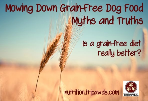 are grain free dog food myths true or not?