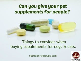 Is it Safe to Give Your Pet People Supplements?