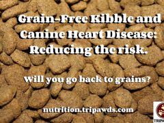 The Grain Free Kibble and Canine Heart Disease Scare: Will It Change Your Dog Food? KibbleRisk