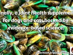 Joint Support for Tripawd Cats and Dogs That’s Backed by Evidence Joint Support for Tripawd Cats and Dogs