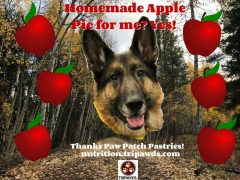 Celebrate Fall with Apple Pie Dog Treats Recipe Apple Pie Dog Treats