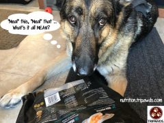 The Spooky Pet Food Meat Mystery Wyatt's pet food mystery meat investigation