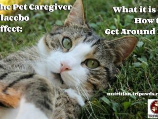 pet caregiver placebo effect