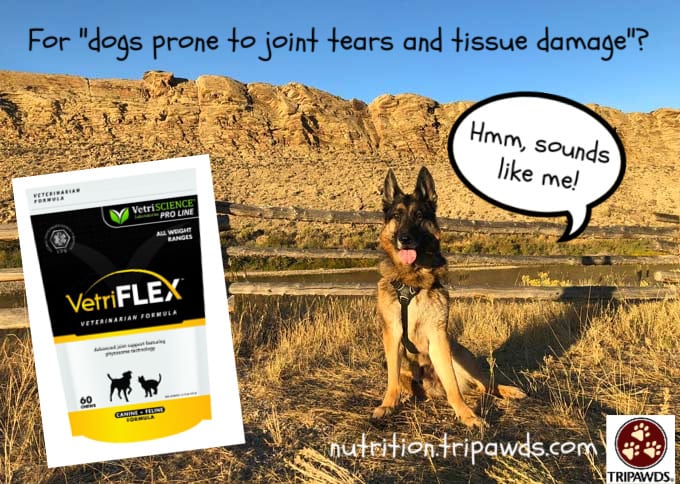 Tripawd joint support supplement