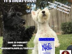 A Wild Way to Avoid Pet Food Recalls (and Save Money Doing It!) Avoid Pet Food Recalls