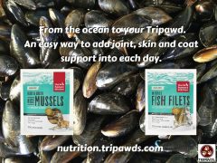 Does Your Tripawd Have Nice Mussels? Tripawd have nice mussels